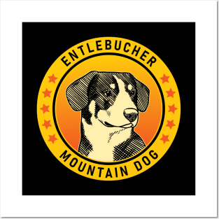 Entlebucher Mountain Dog Portrait Posters and Art